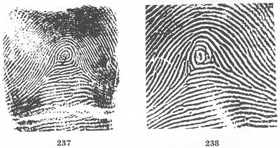 Figs. 237-238 Figs. 237-238