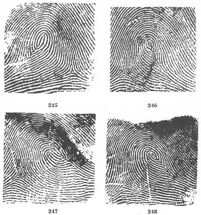 Figs. 245-248 Figs. 245-248