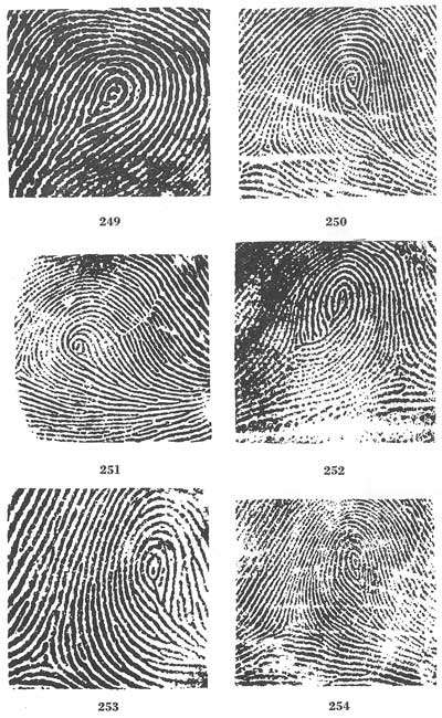 Figs. 249-254 Figs. 249-254