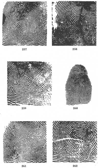 Figs. 257-262 Figs. 257-262
