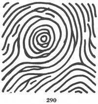 Fig. 290 Fig. 290