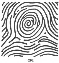Fig. 291 Fig. 291