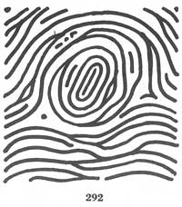 Fig. 292 Fig. 292