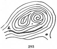 Fig. 293 Fig. 293