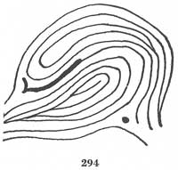 Fig. 294 Fig. 294