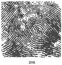Fig. 298 Fig. 298