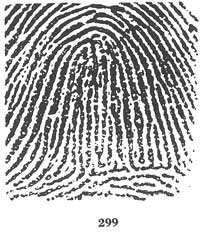 Fig. 299 Fig. 299