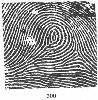 Fig. 300 Fig. 300