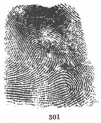 Fig. 301 Fig. 301