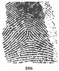 Fig. 306 Fig. 306