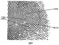 Fig. 307 Fig. 307