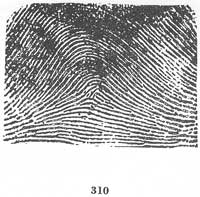 Fig. 310 Fig. 310