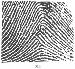 Fig. 311 Fig. 311