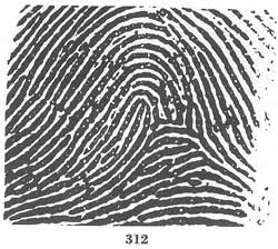 Fig. 312 Fig. 312