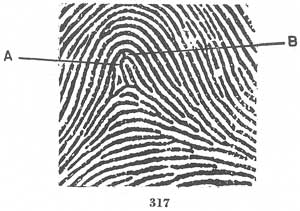 Fig. 317 Fig. 317