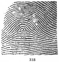 Fig. 318 Fig. 318