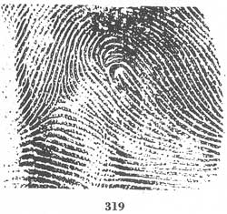 Fig. 319 Fig. 319