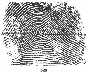 Fig. 320 Fig. 320