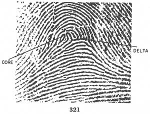 Fig. 321 Fig. 321