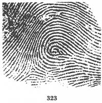 Fig. 323 Fig. 323