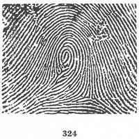 Fig. 324 Fig. 324