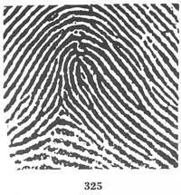 Fig. 325 Fig. 325
