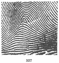 Fig. 327 Fig. 327