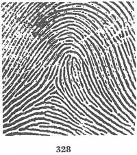 Fig. 328 Fig. 328