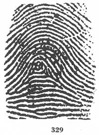 Fig. 329 Fig. 329