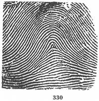 Fig. 330 Fig. 330