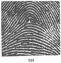 Fig. 333 Fig. 333