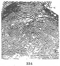 Fig. 334 Fig. 334