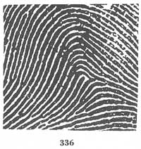 Fig. 336 Fig. 336