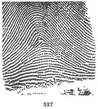 Fig. 337 Fig. 337