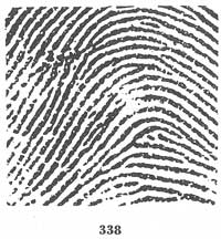 Fig. 338 Fig. 338