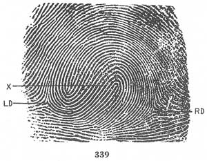 Fig. 339 Fig. 339