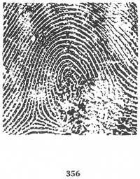 Fig. 356 Fig. 356