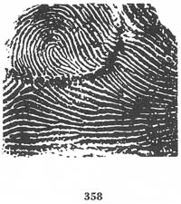 Fig. 358 Fig. 358