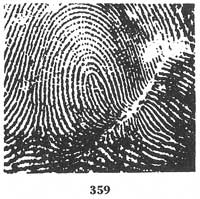 Fig. 359 Fig. 359