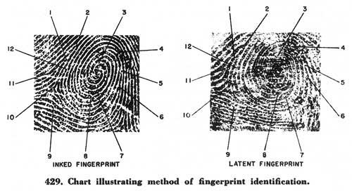 Fig. 429 Fig. 429