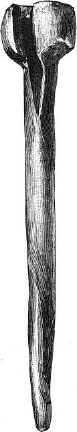 shell ornament