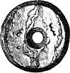 shell bead, front