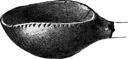 earthen vessel