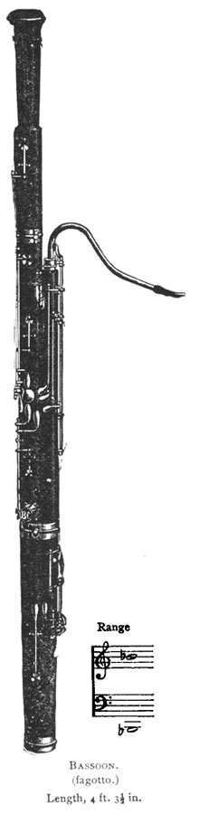 bassoon bassoon