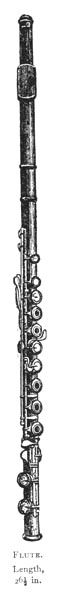 flute flute