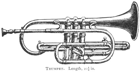 trumpet trumpet