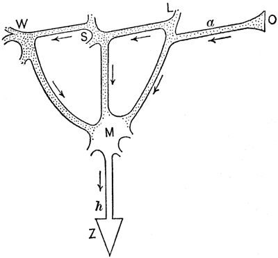fig_2