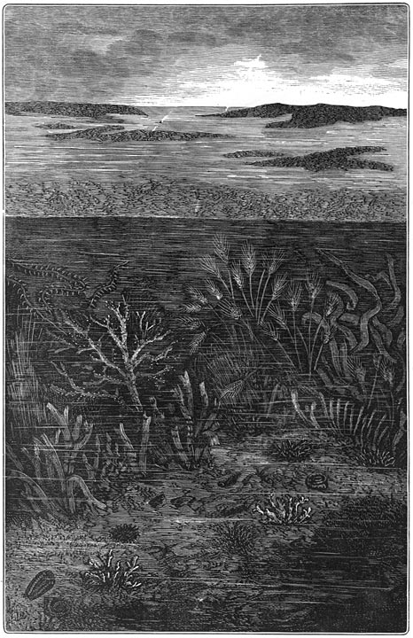 De eerste dagen der silurische periode: Alleen de wateren zijn bewoond.