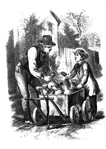 Hurrah for the squash-peddler Hurrah for the squash-peddler