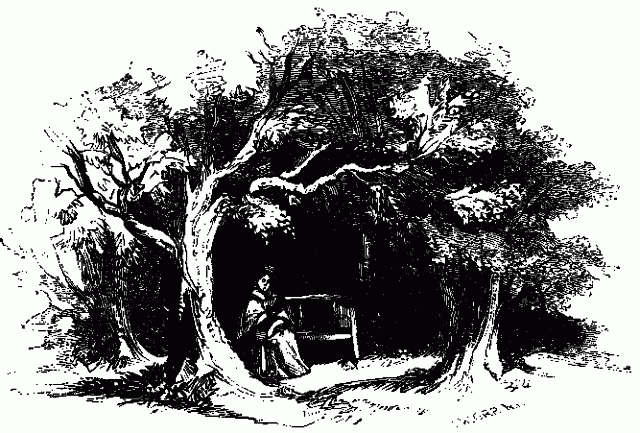 COWLEY'S SEAT. Illustration: COWLEY'S SEAT.